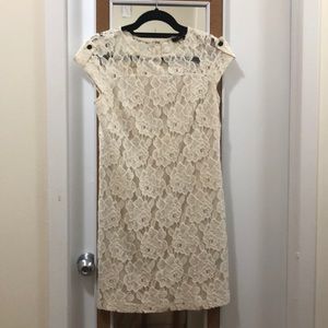 Cynthia Steffe Lace Dress